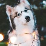 Mathew doyle - @mattrekk122 - Instagram