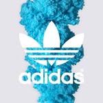 Mathew Eames - @meames2981 - Instagram