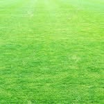 Mathew Ellis - @mathewellis80 - Instagram