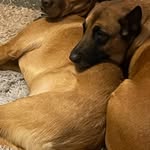 Mathew Ellis - @mathewellis71 - Instagram
