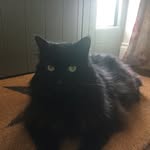 Mathew Ellis - @mathewellis1970 - Instagram