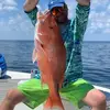 Matthew Farley392 - @matthewfarleyq - TikTok