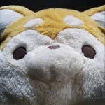 Mathew Farmer - @mattchoi64 - Instagram
