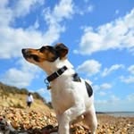 Matthew Farmer - @matthew.farmer.313 - Instagram