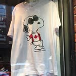 Mathew Fleming - @mathew.fleming.353 - Instagram