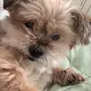 Matthew Fleming - @matthew_fleming512 - TikTok