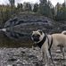 Mathew Gerard - Facebook
