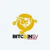 Matthew Gerard - @bitcointruth - TikTok
