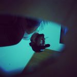 Mathze - @mathewgoodcat - Instagram