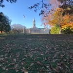 Matthew Gray - @mathew_gray0404 - Instagram