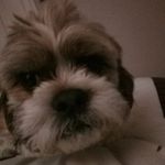 mathew griffiths - @mathew_the_boss23454 - Instagram