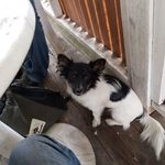 Mathew Griffiths - @griffiths9481 - Instagram