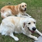 @mathew_hale456677 - Instagram
