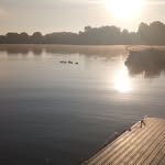 Matthew Haley - @sirenheadforest - Instagram