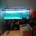 Matthew Hamilton - Facebook
