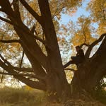 Mathew Hanson - @mathew_hans0n - Instagram