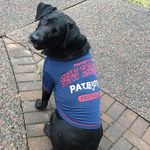 Mathew Harris - @mathew.harris.988 - Instagram