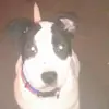 Mathew Harris - @user926663833 - TikTok