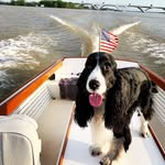 Matthew Hartman - @hokieraven22 - Instagram