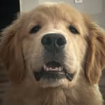 Matthew Hartman - @matt.hart.man - Instagram