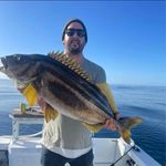 Mathew Hay - @mathewhay - Instagram