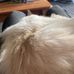 Matthew Hay - Facebook