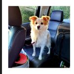 Matthew Hester - @matthew.hester.52.nh - Instagram