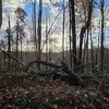 Matthew Holmes - @matthew.holmes39 - TikTok