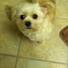 Matthew Jean - @matthew.jean4 - TikTok