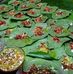 Khata Mitha - Facebook