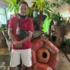 Dominic - @mathewlambert08 - TikTok