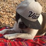 Mathew Lambert - @mattlambert74 - Instagram