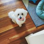 mathew j lloyd - @mathew.lloyd77 - Instagram
