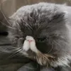 Matthew.Main - @matthew.main2 - TikTok