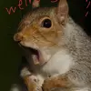 Matthew Manning - @matthew.manning7 - TikTok