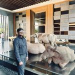 Mathew Marshall - @mathew.marshall - Instagram