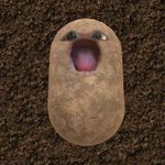 Mathew Marshall - @mathew.marshall810 - Instagram