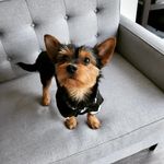 Marshall Mathew - @marshallmathew0519 - Instagram