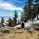 Matthew McBride - @matthew._.mcbride - Instagram