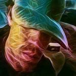Mathew Mccabe - @neverever2323 - Instagram