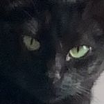 Matthew McClain - @matt_mcclain60054 - Instagram