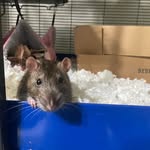 Mathew Melton - @melton.mathew - Instagram