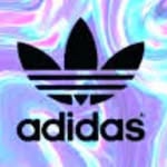 Matthew Milleson - @matthewmilleson - Instagram