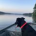 Matthew Morrow - Facebook