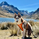 Murdock - @mathew_murdock_dd - Instagram