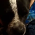 jr - @mathewmurphy009 - Instagram