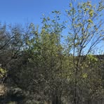Matthew Ogden - Facebook