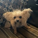 Mathew Packer - @packermathew - Instagram