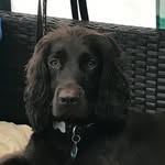 Mathew Porter - @mporter200524 - Instagram
