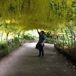 Mathew Potter - @mathewp92000 - Instagram